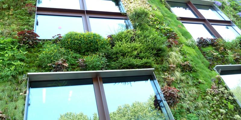 verticale tuin kopen